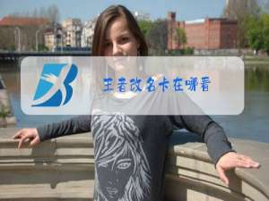 王者改名卡在哪看