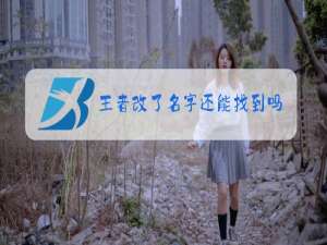 王者改了名字还能找到吗