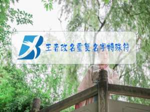 王者改名重复名字特殊符号怎么弄