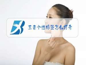 王者个性标签怎么打开
