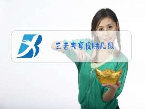 王者共享皮肤几级