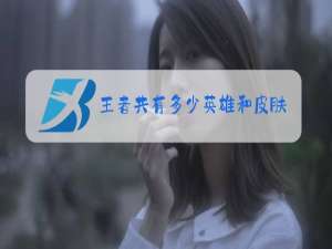 王者共有多少英雄和皮肤2021