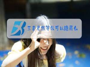 王者贵族等级可以隐藏么