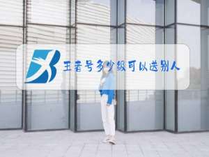 王者号多少级可以送别人皮肤