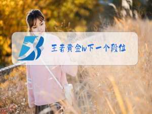 王者黄金iv下一个段位是什么