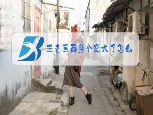 王者画面整个变大了怎么办