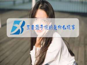 王者混子说的是什么玩家