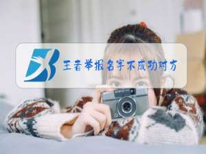 王者举报名字不成功对方会不会有提示