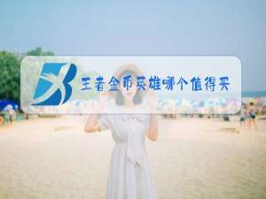 王者金币英雄哪个值得买2020