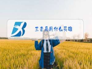 王者局用什么英雄