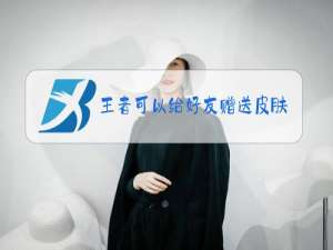 王者可以给好友赠送皮肤碎片吗