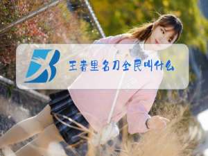 王者里名刀全民叫什么