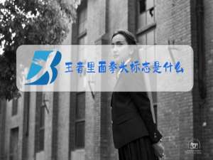 王者里面拳头标志是什么