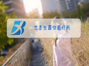 王者里面谁最好用