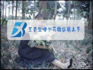 王者里哪个英雄容易上手