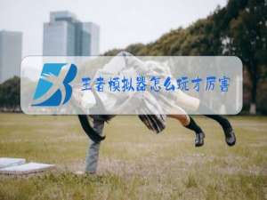 王者模拟器怎么玩才厉害