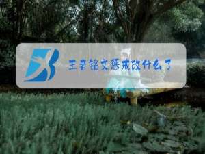 王者铭文惩戒改什么了