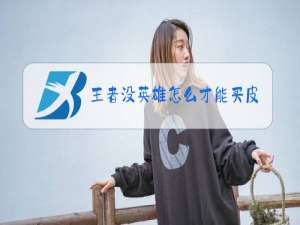 王者没英雄怎么才能买皮肤