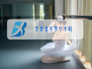 王者名字多少字母