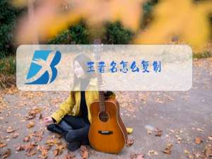 王者名怎么复制