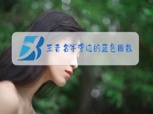 王者名字旁边的蓝色圈数字是什么