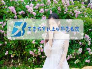 王者六字以上昵称怎么改