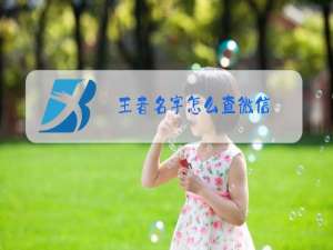 王者名字怎么查微信