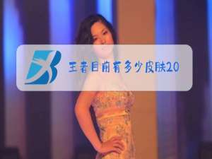 王者目前有多少皮肤2021