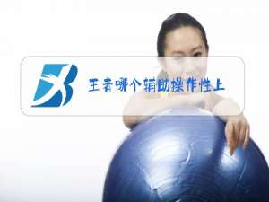 王者哪个辅助操作性上
