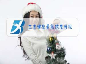 王者哪里看熟练度升级