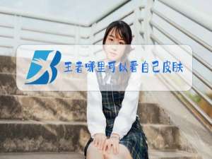 王者哪里可以看自己皮肤