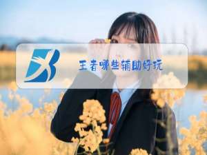 王者哪些辅助好玩