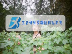 王者哪些英雄能用钻石买