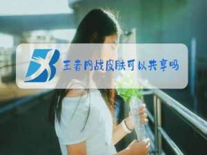 王者内战皮肤可以共享吗
