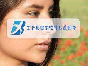 王者皮肤不收可以退回去吗