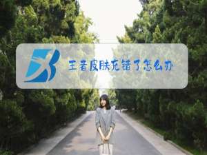 王者皮肤充错了怎么办