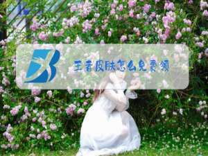 王者皮肤怎么免费领