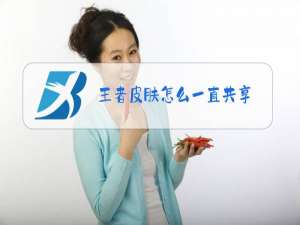 王者皮肤怎么一直共享