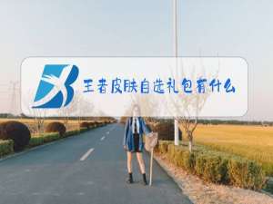 王者皮肤自选礼包有什么