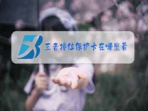 王者排位保护卡在哪里看