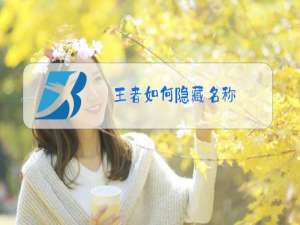 王者如何隐藏名称