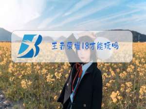 王者荣耀18才能玩吗