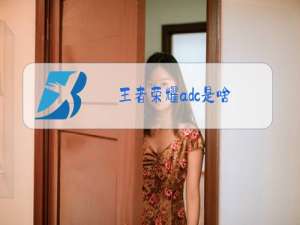 王者荣耀adc是啥