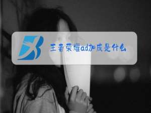 王者荣耀ad加成是什么意思