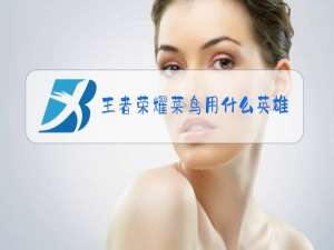 王者荣耀菜鸟用什么英雄上段位