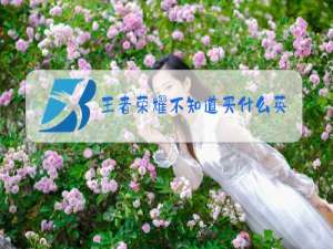 王者荣耀不知道买什么英雄好