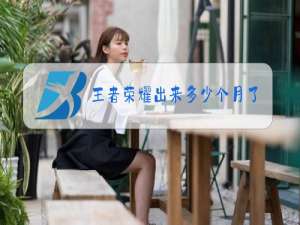 王者荣耀出来多少个月了