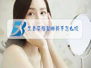 王者荣耀貂蝉新手怎么玩