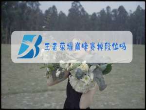 王者荣耀巅峰赛掉段位吗