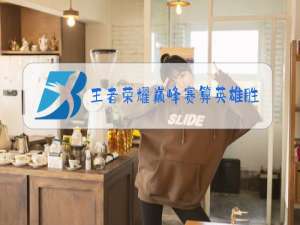 王者荣耀巅峰赛算英雄胜率吗